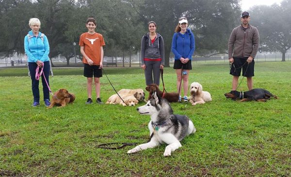 Dog owners training side by side with their dogs in a park