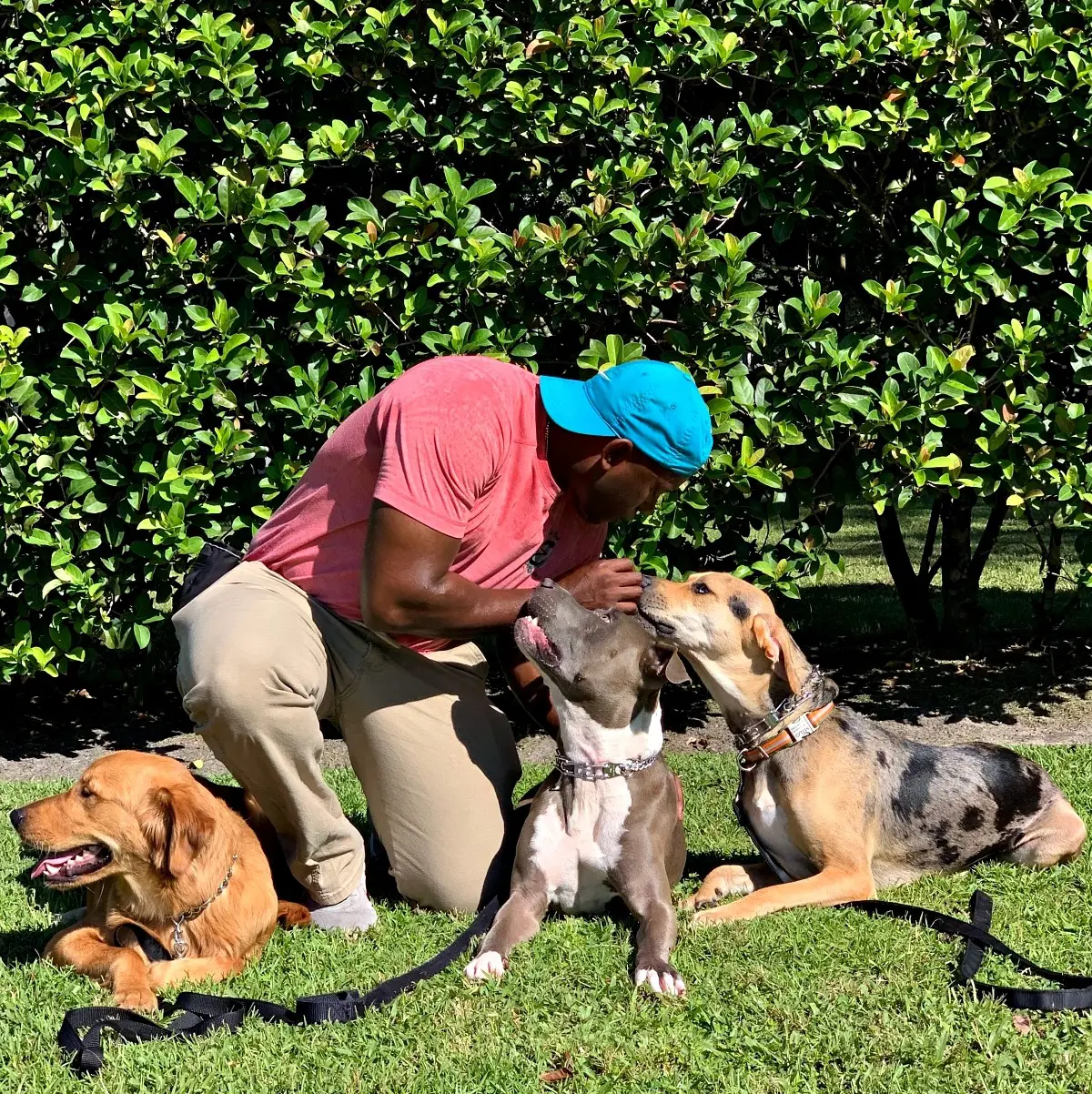 Laurent Gabriel kneeling on the grass, greeting two dogs nose to nose while a golden retriever rests beside them
